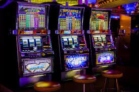 VIP Sports Betting Bonus Cashback Program dm999