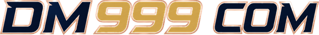 dm999 com Logo